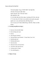 Phân tích đối thủ cạnh tranh hiện tại của Tân Hiệp Phát