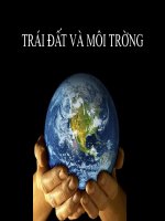 ngoai khoa ve moi truong