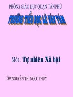 Giáo án điện tử lớp  1 con cá 3