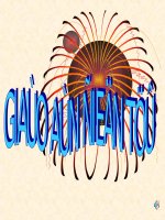 Giáo án điện tử lớp 1 cây hoa