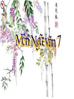 Luyện tập làm bài văn nghị luận