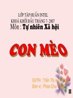 Giáo án điện tử lớp 1 con mèo