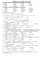 Revision for the final exam - Class12