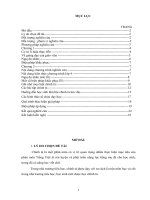 SÁNG KIẾN KINH NGHIỆM : Một số lỗi chính tả thường gặp ở  lớp 4 – nguyên nhân và biện pháp khác phục   Trừơng tiểu học Thống Nhất