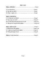 Sáng kiến kinh nghiệm: Một số giải pháp giúp  học sinh lớp 12 học tốt câu tường thuật trong tiếng Anh