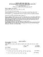 de thi va dap an mon toan HSG lop 4- 2010-2011