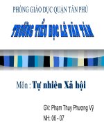 Giáo án điện tử lớp 1 con cá tt