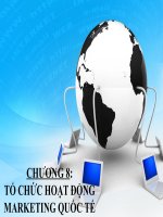 Marketing quốc tế  Tổ chức hoạt động Marketing quốc tế