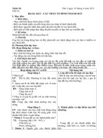 Giáo an Tuần 34 Địa lí 6