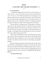 Sáng kiến kinh nghiệm: LUYỆN ĐỌC  HIỂU CHO HỌC SINH KHỐI 4 – 5