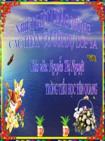 giao an luyen tu va cau. tuan 33. bai nhan hoa