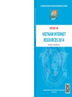 BÁO CÁO TÀI NGUYÊN INTERNET VIỆT NAM NĂM 2015