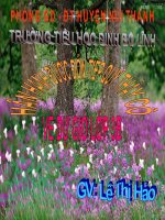 Toán: Luyện tập (Tiết 159) - Tuần 32