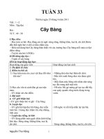GIÁO ÁN TUẦN 33. LỚP 1