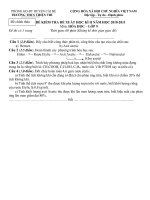 Đề thi HK II Hóa 9 năm học 2010-2011