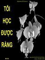 Những điều tôi đã học được