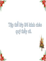 ONG GIUOC DANH MAC LE PHUC