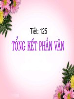 tong ket van hoc