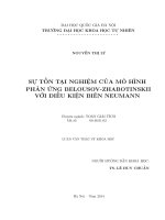 Sự tồn tại nghiệm của mô hình phản ứng Belousov - Zhabotinskii với điều kiện biên Neumann