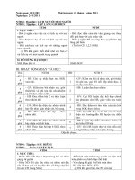 GIÁO ÁN GHÉP 4+5 TUẦN 22-CKTKN