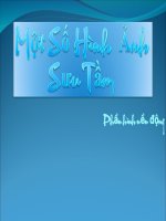 Hình nền động cho bài giảng