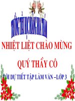 TẬP LÀM VĂN 3(LAO ĐAO)