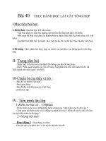 Bai 40: Thực hành đọc lát cắt