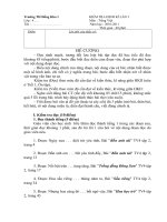 Đề kiểm tra giữa kì 2_Môn Tiếng Việt 4-Năm 2010-2011