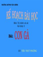 Giáo án điện tử lớp 1 con gà 1