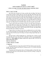 Sáng kiến kinh nghiệm: KINH NGHIỆM XÂY DỰNG VÀ PHÁT TRIỂN  CÔNG TÁC ĐỘI TNTP HỒ CHÍ MINH TRONG TRƯỜNG THCS