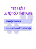 bài 2 lai mot cap tinh trang