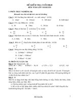 đề KT toán cuối HKII lớp 5