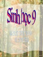 thực hành: hệ sinh thái