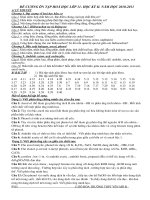 đề cương hoa 11 học ki II