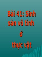 Sinh 11 - Bài 41