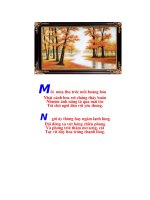 hai sắc hoa ti gôn