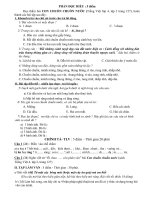 Đề thi môn Tiếng Việt 4 CK2