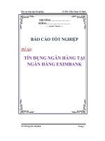 luận văn: Đề tài tín dụng ngân hàng tại ngân hàng eximbank