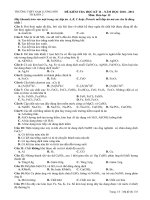 đề kiểm tra HK2 năm học 2010 - 2011