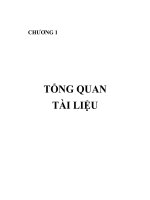 Luận văn nghiên cứu chế tạo vật liệu nano chitosan làm chất hấp thụ protein ứng dụng trong dẫn truyền thuốc