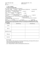 Đề KT HKII có đáp án và ma trận ( Chuẩn)