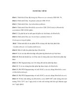 Nghiên cứu phân loại nấm men moniliella phân lập tại việt nam