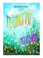 Bài giảng tương tư ngữ văn 11