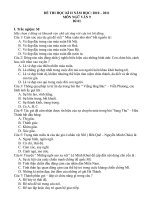 đề thi văn 9 hk2