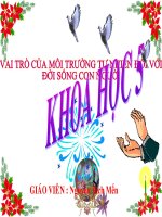 Tiết 64: Khoa học lớp 5