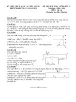 đề thi học sinh giỏi cấp trường môn vật lý 11 thpt lục ngạn bắc giang