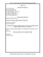 SKKN. Nâng cao chất lượng tổ chuyên môn trường THCS