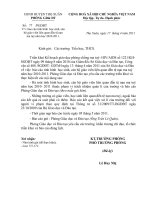 V/v: báo cáo tình hình  học sinh, cán bộ giáo viên liên quan đến tệ nạn