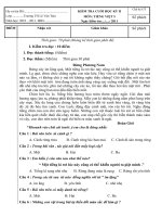 ĐỀ KT CUỐI HKII MÔN TV 5