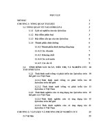 Nghiên cứu ứng dụng tảo spirulina trong chế phẩm khẩu phần ăn giàu dinh dưỡng